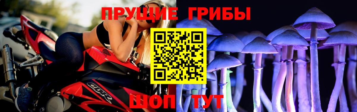 Чапаевск  Галлюциногенные грибы MAGIC MUSHROOMS  Вход с VPN 